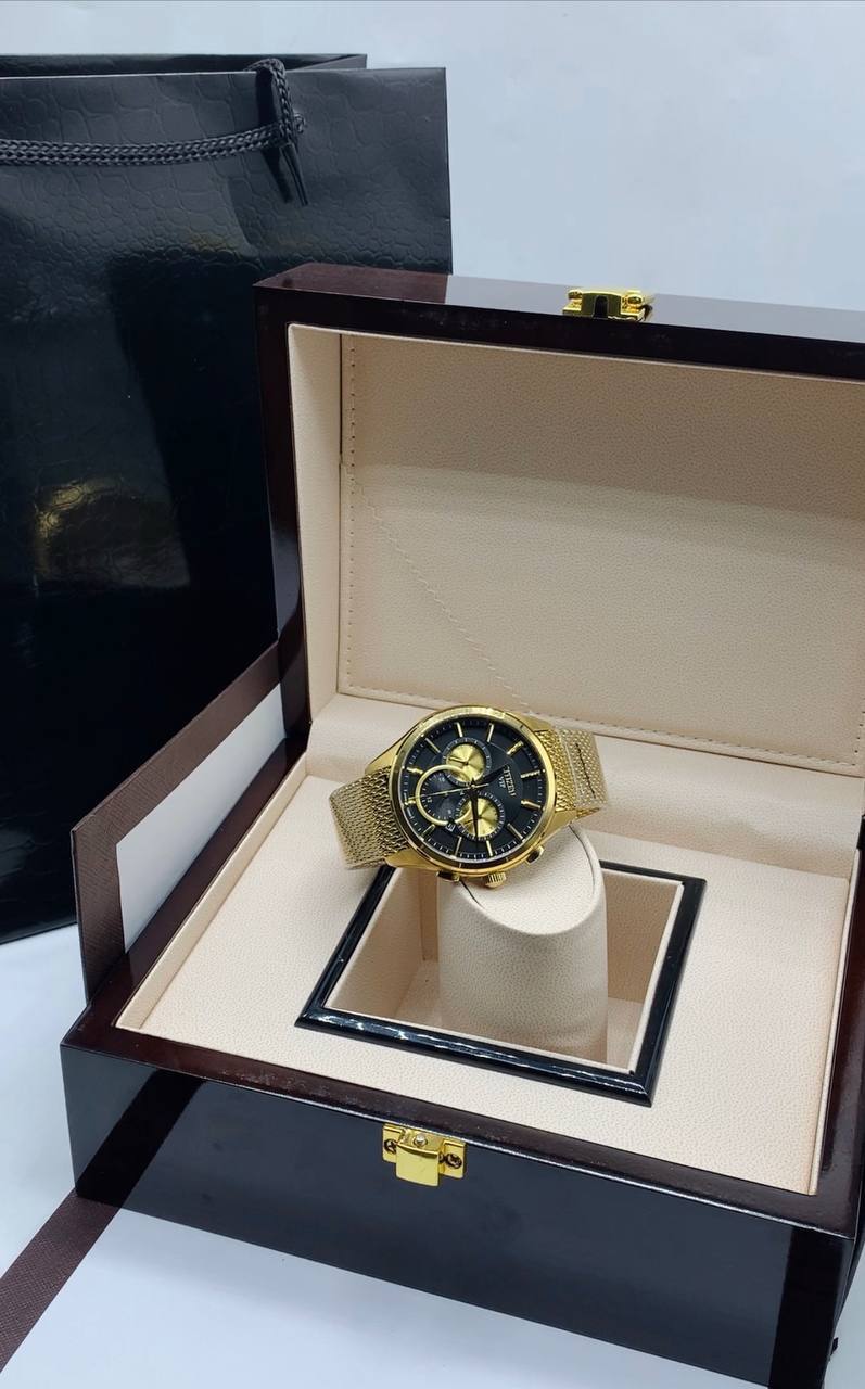Luxury Citizen Watch