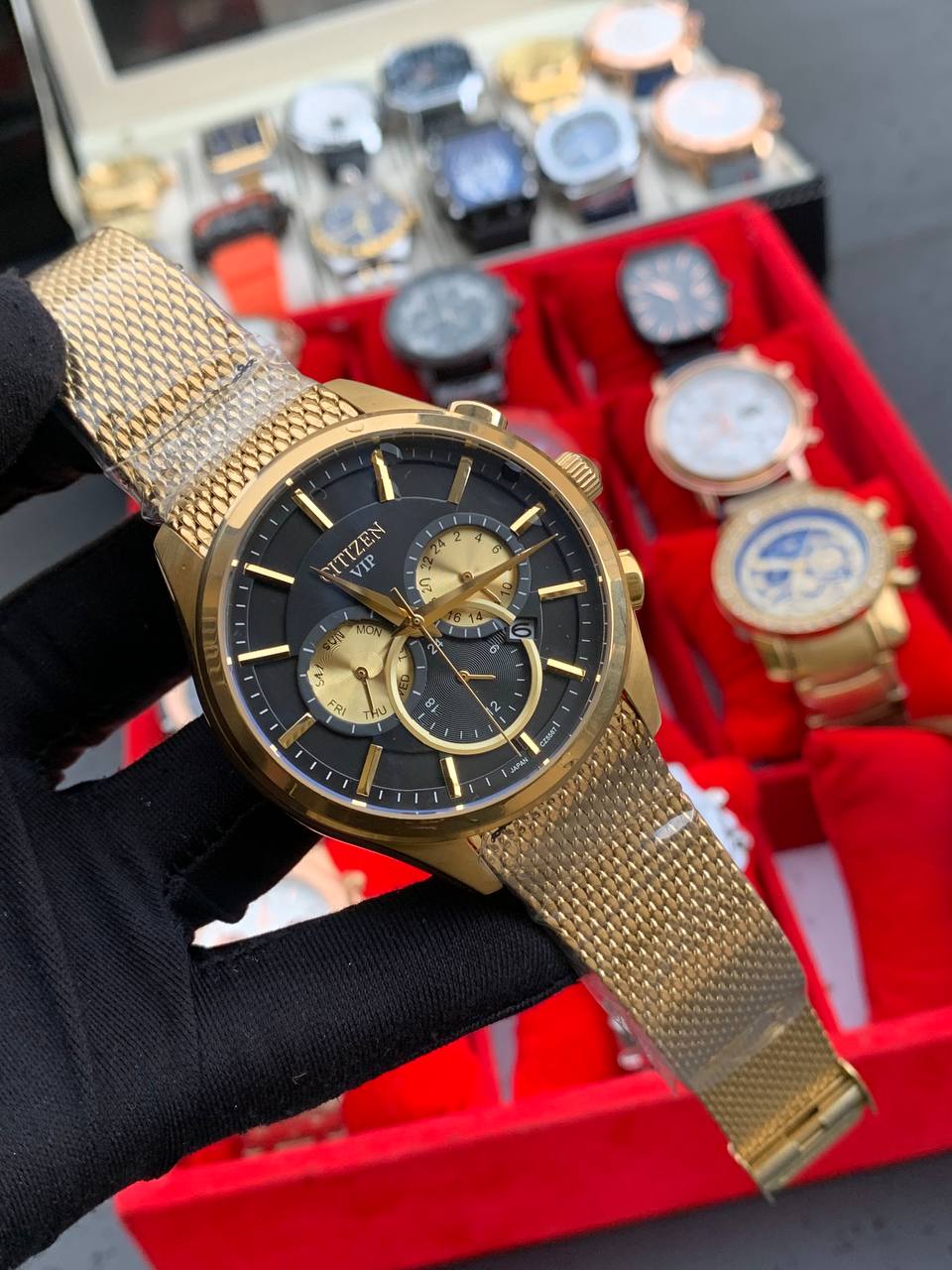 Luxury Citizen Watch